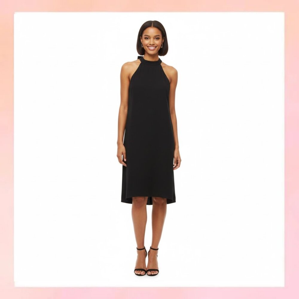 Ann Taylor Dress Beautiful Floor Length Sleeveless Size 4